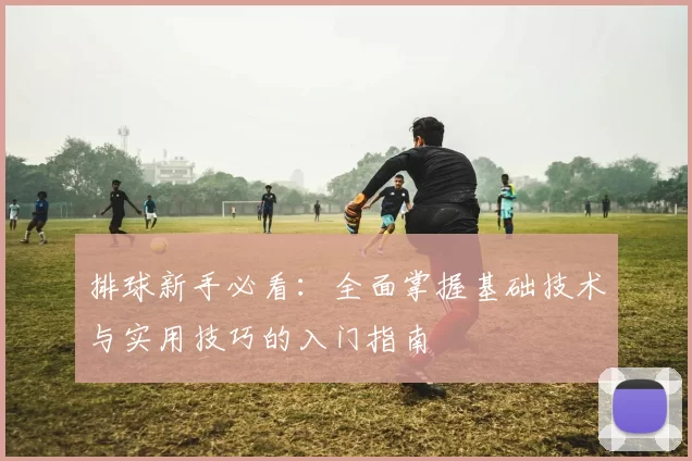 排球新手必看：全面掌握基础技术与实用技巧的入门指南