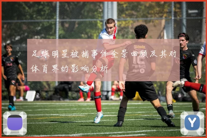 足球明星被捕事件全景回顾及其对体育界的影响分析