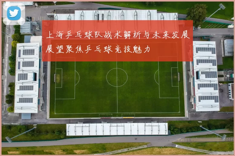 上海乒乓球队战术解析与未来发展展望聚焦乒乓球竞技魅力