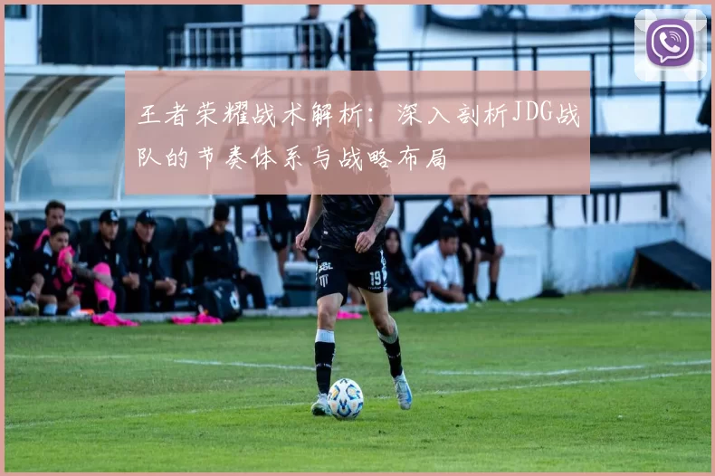 王者荣耀战术解析：深入剖析JDG战队的节奏体系与战略布局