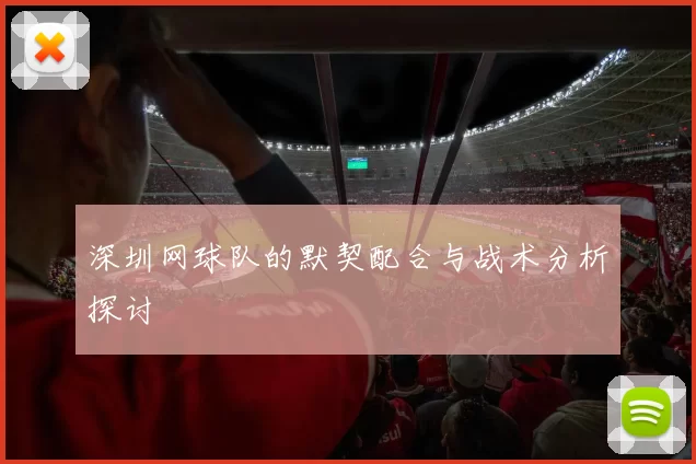 深圳网球队的默契配合与战术分析探讨