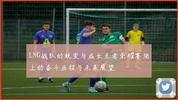 LNG战队的蜕变与成长王者荣耀赛场上的奋斗历程与未来展望