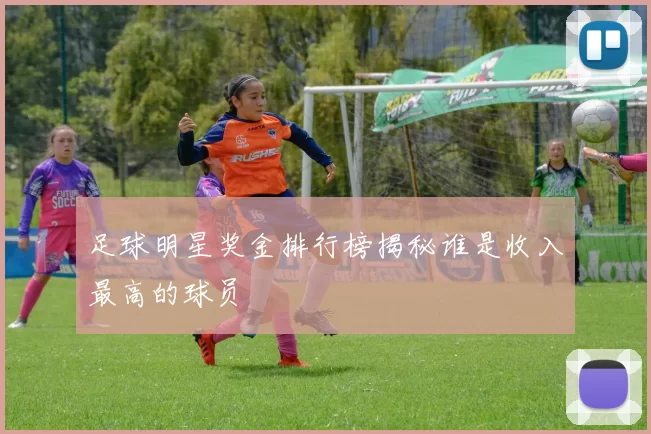 足球明星奖金排行榜揭秘谁是收入最高的球员