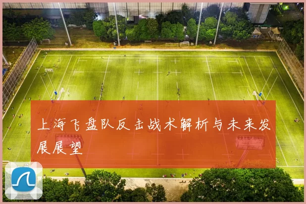 上海飞盘队反击战术解析与未来发展展望