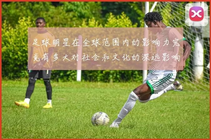 足球明星在全球范围内的影响力究竟有多大对社会和文化的深远影响分析