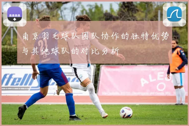 南京羽毛球队团队协作的独特优势与其他球队的对比分析
