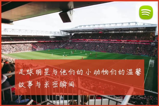 足球明星与他们的小动物们的温馨故事与亲密瞬间