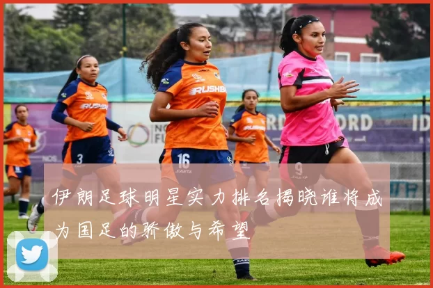 伊朗足球明星实力排名揭晓谁将成为国足的骄傲与希望