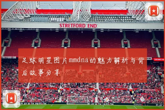 足球明星图片mmdna的魅力解析与背后故事分享