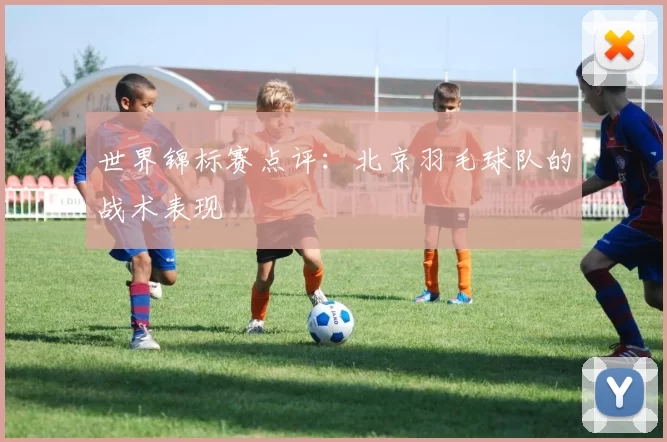 世界锦标赛点评：北京羽毛球队的战术表现