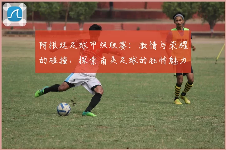阿根廷足球甲级联赛：激情与荣耀的碰撞，探索南美足球的独特魅力