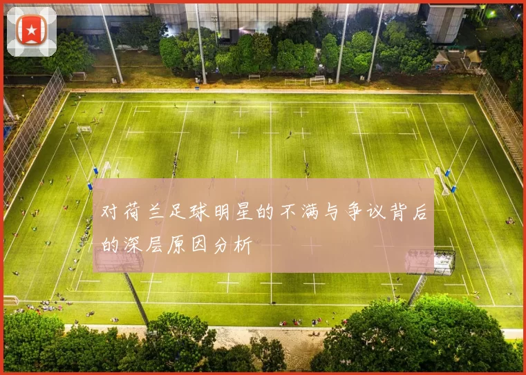 对荷兰足球明星的不满与争议背后的深层原因分析