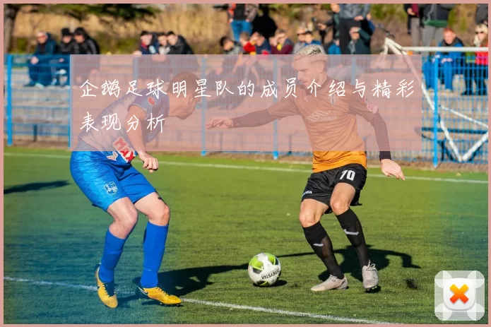 企鹅足球明星队的成员介绍与精彩表现分析