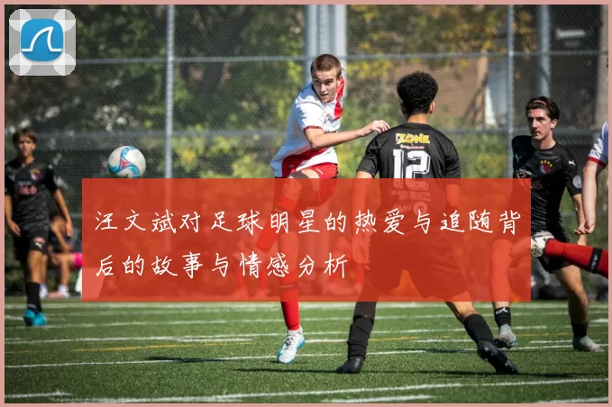 汪文斌对足球明星的热爱与追随背后的故事与情感分析