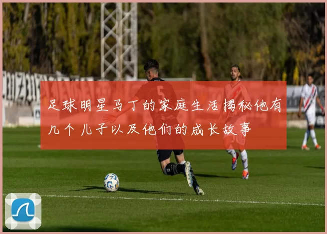 足球明星马丁的家庭生活揭秘他有几个儿子以及他们的成长故事