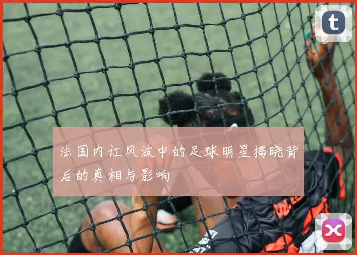 法国内讧风波中的足球明星揭晓背后的真相与影响