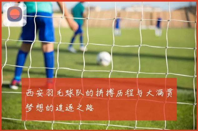 西安羽毛球队的拼搏历程与大满贯梦想的追逐之路