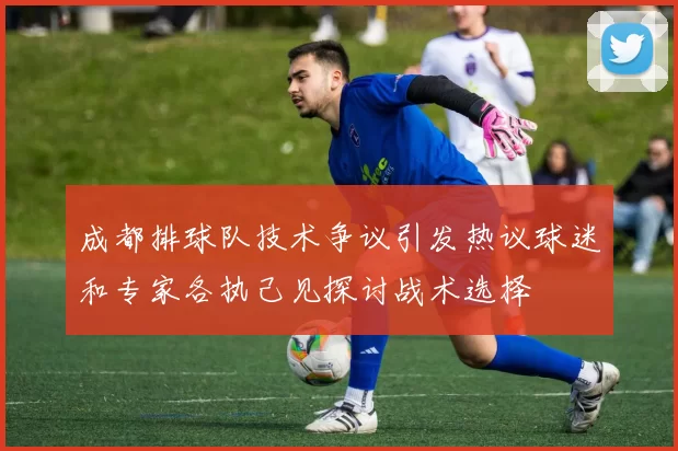 成都排球队技术争议引发热议球迷和专家各执己见探讨战术选择